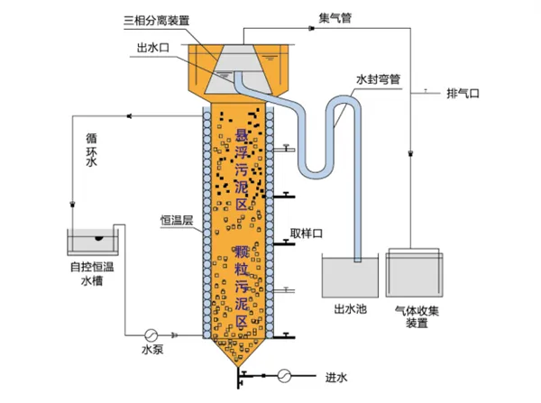 UASB反应器 UASB反应器